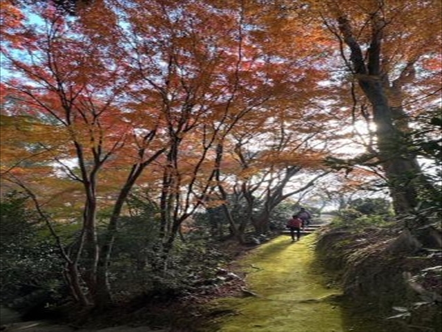 おトクなクーポン