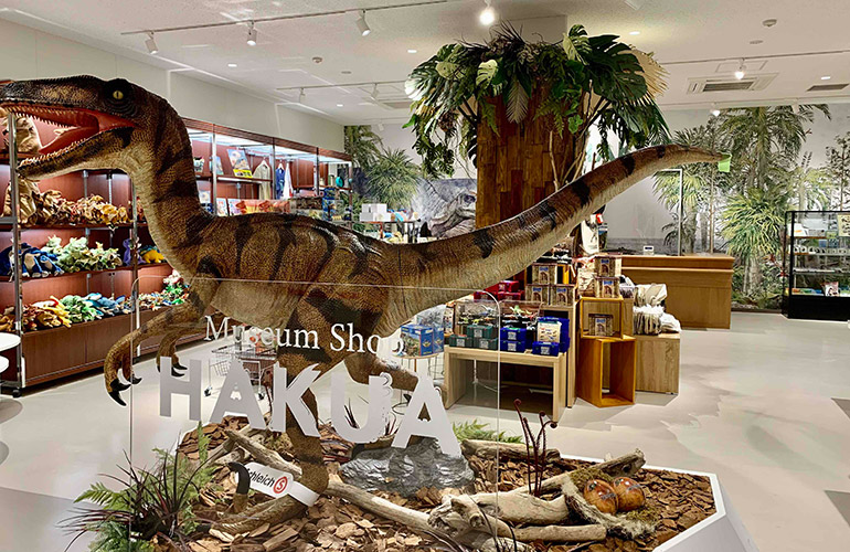 【ベネックス恐竜博物館】ミュージアムショップでのお買い物10％引き
